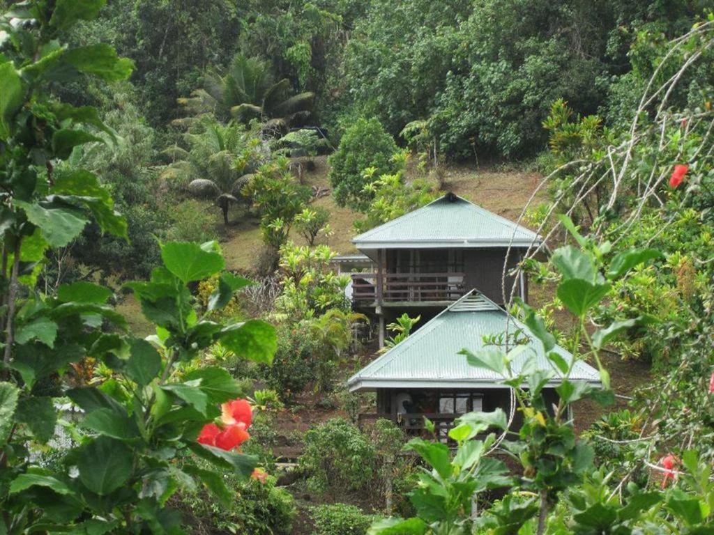 Pension Temaeva Villa Opoa Rum bild